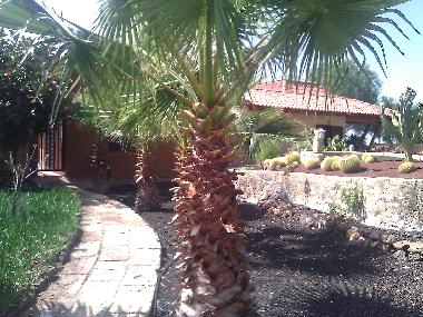 Maison de vacances /en/au Los Menores (Teneriffa)ou appartement ou maison de vacances