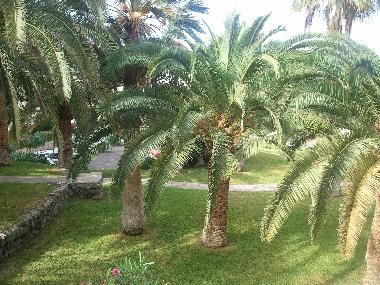 Appartement de vacances /en/au Callao Salvaje (Teneriffa)ou appartement ou maison de vacances