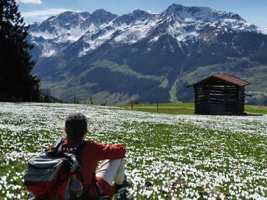 Appartement de vacances /en/au Wildschnau (Tiroler Unterland)ou appartement ou maison de vacances