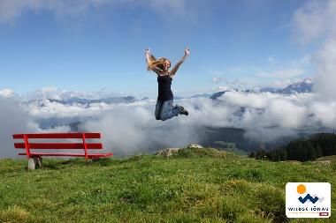 Appartement de vacances /en/au Wildschnau (Tiroler Unterland)ou appartement ou maison de vacances