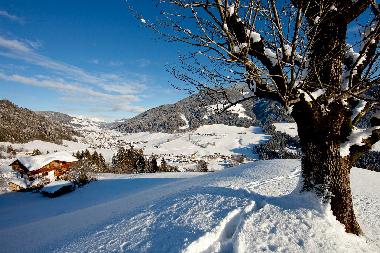 Appartement de vacances /en/au Wildschnau (Tiroler Unterland)ou appartement ou maison de vacances