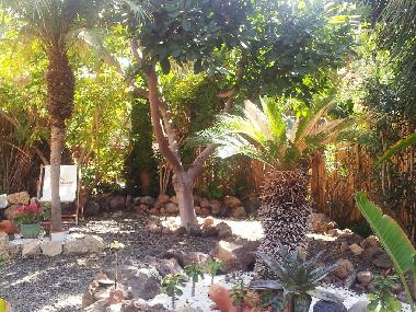 Appartement de vacances �/en/au Guia de Isora (Teneriffa)ou appartement ou maison de vacances