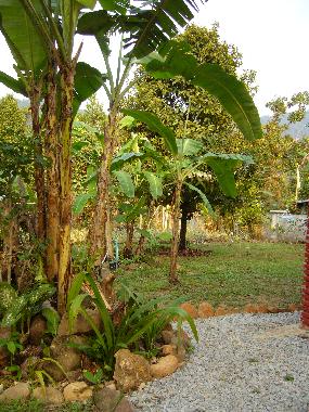 Maison de vacances /en/au Klong Son (Trat)ou appartement ou maison de vacances