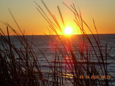 Maison de vacances �/en/au L�kken / Furreby (Nordjylland)ou appartement ou maison de vacances