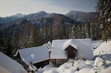 Appartement de vacances �/en/au SOLCAVA  (Luce)ou appartement ou maison de vacances