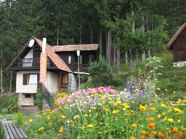 Appartement de vacances �/en/au SOLCAVA  (Luce)ou appartement ou maison de vacances