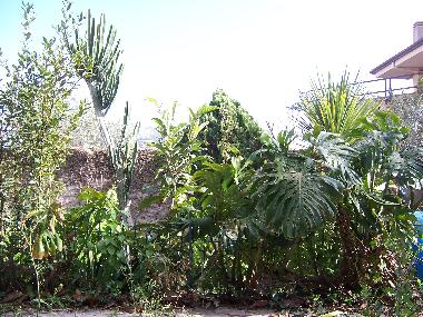 Villa /en/au palermo (Palermo)ou appartement ou maison de vacances