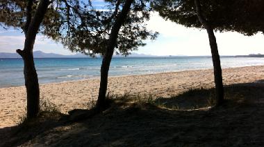 Chalet /en/au Puerto de Alcdia (Mallorca)ou appartement ou maison de vacances