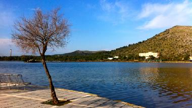 Chalet /en/au Puerto de Alcdia (Mallorca)ou appartement ou maison de vacances