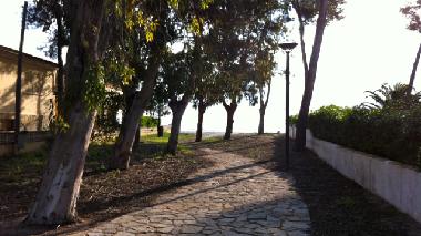 Chalet /en/au Puerto de Alcdia (Mallorca)ou appartement ou maison de vacances