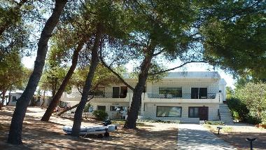 Appartement de vacances �/en/au Vourvourou (Chalkidiki)ou appartement ou maison de vacances