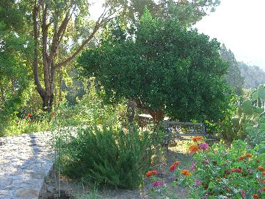 Villa /en/au Lipari (Messina)ou appartement ou maison de vacances