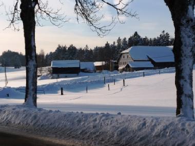 Chalet �/en/au Lajoux (La Chaux-de-Fonds)ou appartement ou maison de vacances