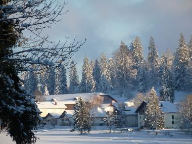Chalet �/en/au Lajoux (La Chaux-de-Fonds)ou appartement ou maison de vacances
