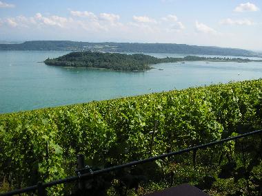 Chalet �/en/au Lajoux (La Chaux-de-Fonds)ou appartement ou maison de vacances