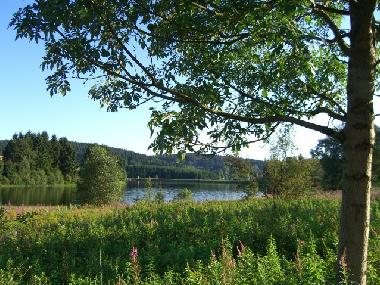 Appartement de vacances �/en/au Clausthal-Zellerfeld (Harz)ou appartement ou maison de vacances