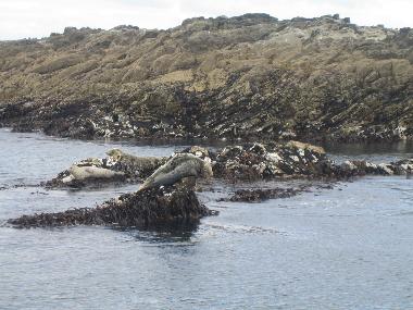 Maison de vacances �/en/au Tragumna, Skibbereen (Cork)ou appartement ou maison de vacances