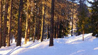 Maison de vacances �/en/au Bellwald (Goms)ou appartement ou maison de vacances