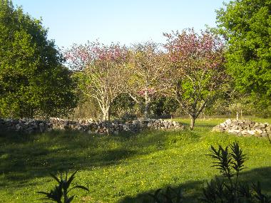 Maison de vacances �/en/au La Garde Adh�mar (Dr�me)ou appartement ou maison de vacances