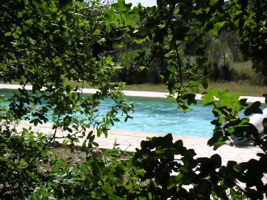 Maison de vacances �/en/au La Garde Adh�mar (Dr�me)ou appartement ou maison de vacances