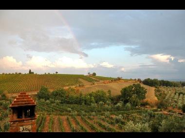 Maison de vacances /en/au Castelnuovo Berardenga (Siena)ou appartement ou maison de vacances
