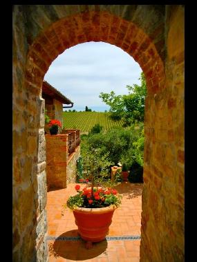 Maison de vacances /en/au Castelnuovo Berardenga (Siena)ou appartement ou maison de vacances