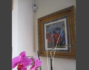 Chambre avec petit d�jeuner �/en/au Madrid (Madrid)ou appartement ou maison de vacances