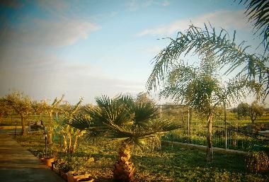 Maison de vacances �/en/au Selinunte (Trapani)ou appartement ou maison de vacances