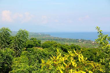 Villa �/en/au Lovina / Temukus (Bali)ou appartement ou maison de vacances