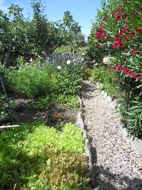 Chambre avec petit djeuner /en/au LA MADDALENA (Olbia-Tempio)ou appartement ou maison de vacances