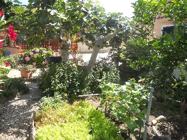 Chambre avec petit djeuner /en/au LA MADDALENA (Olbia-Tempio)ou appartement ou maison de vacances