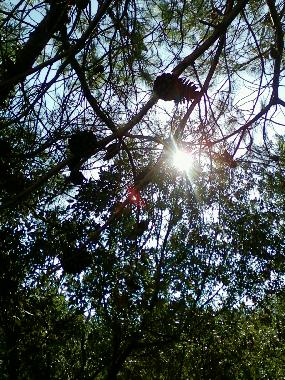 Appartement de vacances �/en/au Zadar, Zaton (Zadarska)ou appartement ou maison de vacances