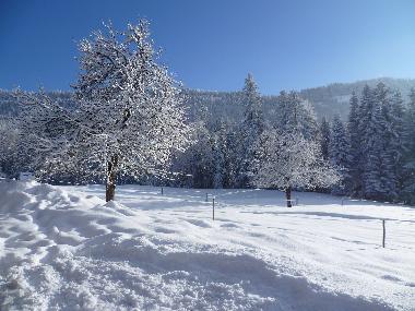 Maison de vacances /en/au Riefensberg (Bludenz-Bregenzer Wald)ou appartement ou maison de vacances