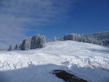 Maison de vacances /en/au Riefensberg (Bludenz-Bregenzer Wald)ou appartement ou maison de vacances