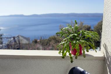 Appartement de vacances �/en/au Marusici (Splitsko-Dalmatinska)ou appartement ou maison de vacances