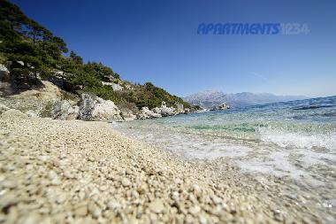 Appartement de vacances �/en/au Marusici (Splitsko-Dalmatinska)ou appartement ou maison de vacances