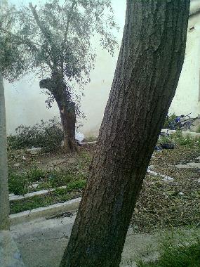 Appartement de vacances /en/au Loutraki (Korinthia)ou appartement ou maison de vacances