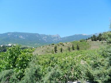 Maison de vacances �/en/au Gurzuf (Krym, Avtonomna Respublika)ou appartement ou maison de vacances