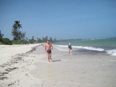 Maison de vacances �/en/au Msambweni (Coast)ou appartement ou maison de vacances