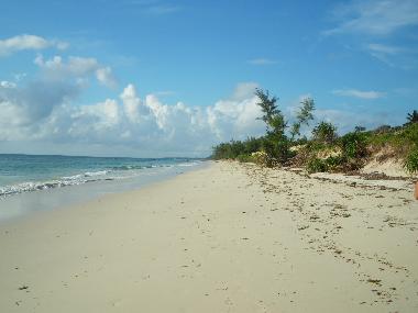 Maison de vacances �/en/au Msambweni (Coast)ou appartement ou maison de vacances