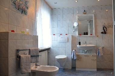 Appartement de vacances /en/au Medebach (Sauerland)ou appartement ou maison de vacances