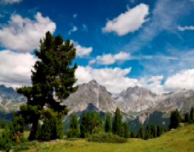 Appartement de vacances �/en/au Scuol (Scuol)ou appartement ou maison de vacances