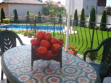 Villa �/en/au Varna (Varna)ou appartement ou maison de vacances
