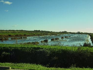 Appartement de vacances �/en/au Tavira (Algarve)ou appartement ou maison de vacances