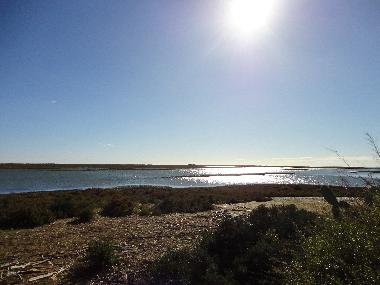 Appartement de vacances �/en/au Tavira (Algarve)ou appartement ou maison de vacances