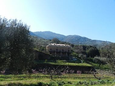 H�tel �/en/au Ascea (SA) (Salerno)ou appartement ou maison de vacances