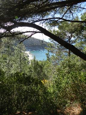 H�tel �/en/au Ascea (SA) (Salerno)ou appartement ou maison de vacances