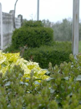 Maison de vacances /en/au Vosteni (Istarska)ou appartement ou maison de vacances