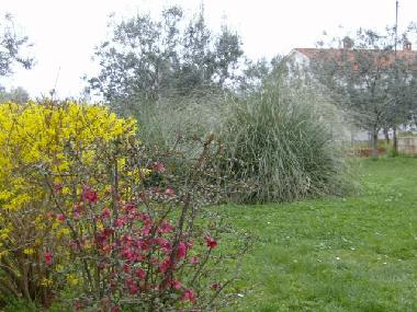 Maison de vacances /en/au Vosteni (Istarska)ou appartement ou maison de vacances