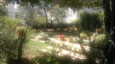 Maison de vacances /en/au Starigrad Paklenica (Zadarska)ou appartement ou maison de vacances